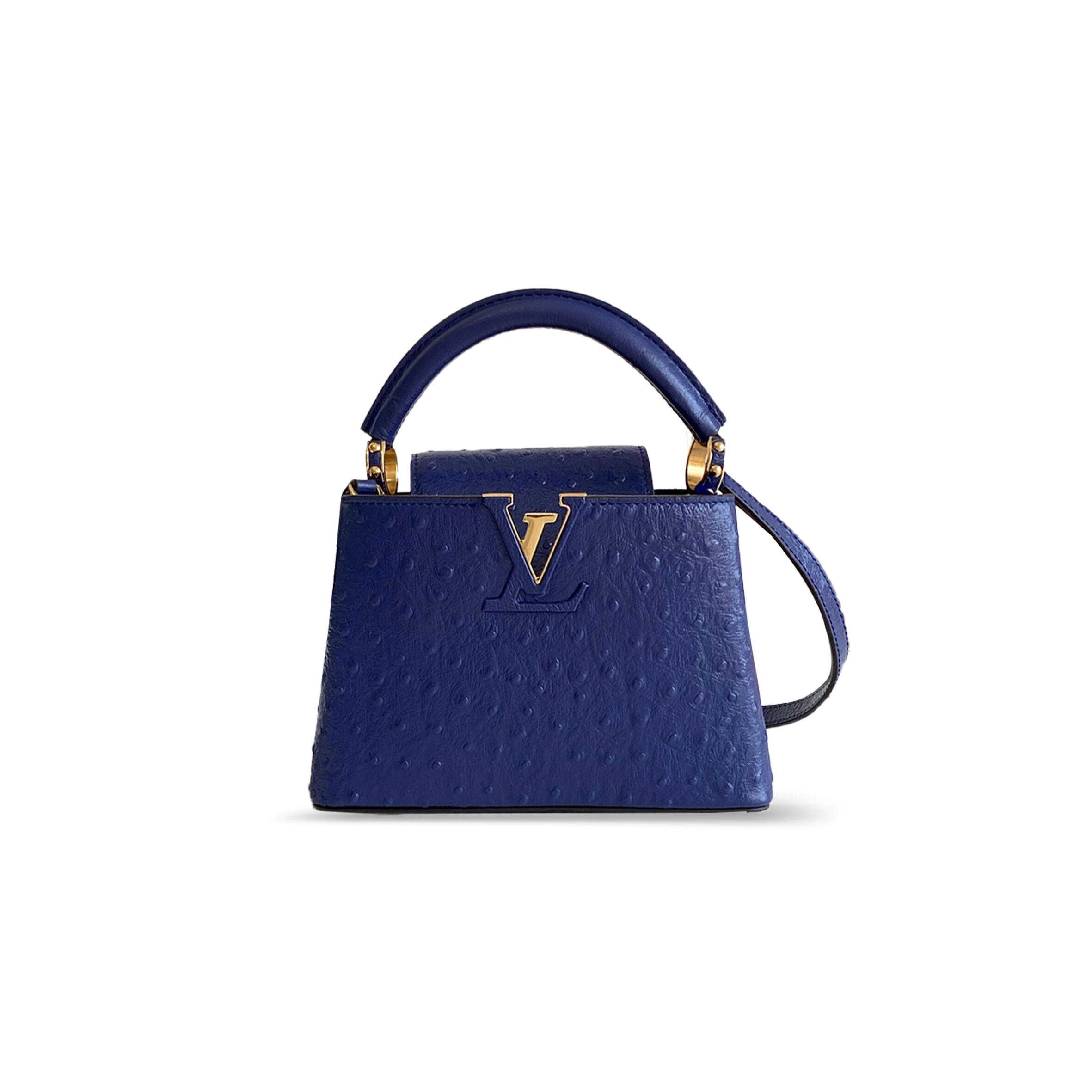 LOUIS VUITTON CAPUCINES MINI N85515 (21*14*8cm)